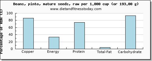 copper and nutritional content in pinto beans